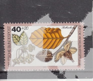 NSR 1024 ** - 1979